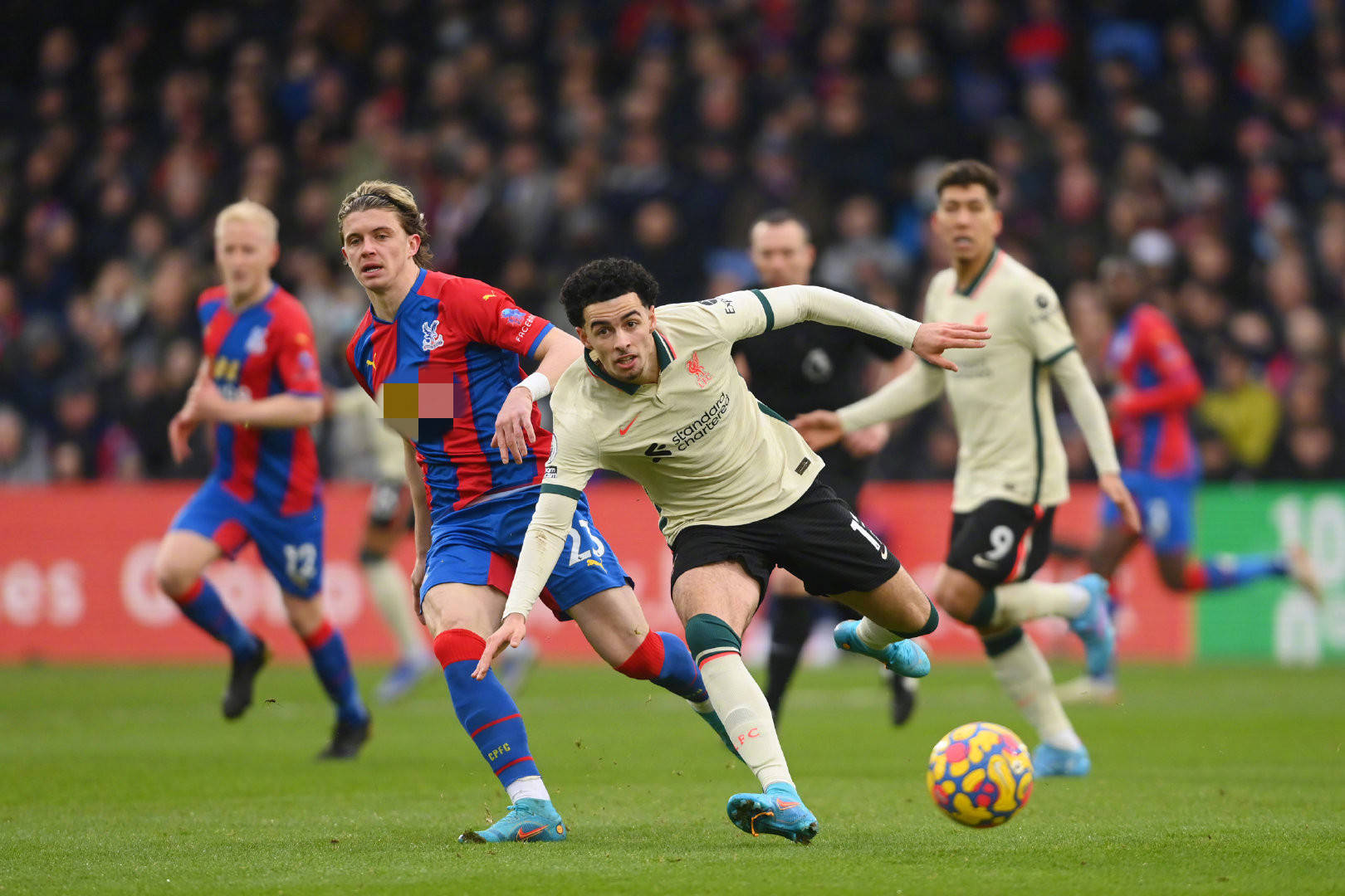 人的职业发 人的职业发